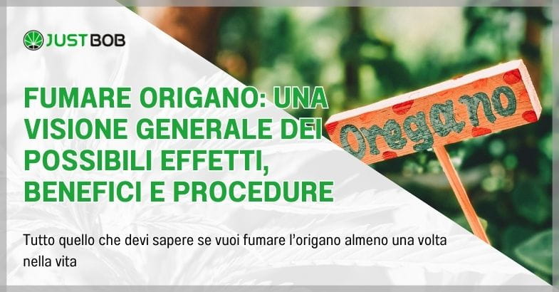 Fumare origano: una visione generale