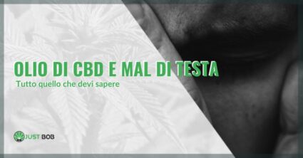 Olio di Cbd e mal di testa