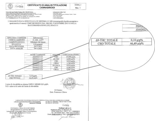 Immagine di un certificato di analisi dei cannabinoidi con enfasi sui risultati del THC e del CBD, rilasciato da un laboratorio italiano accreditato