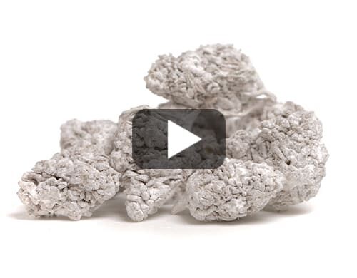 anteprima video di fiori di cannabis light, qualità elevata per uso legale