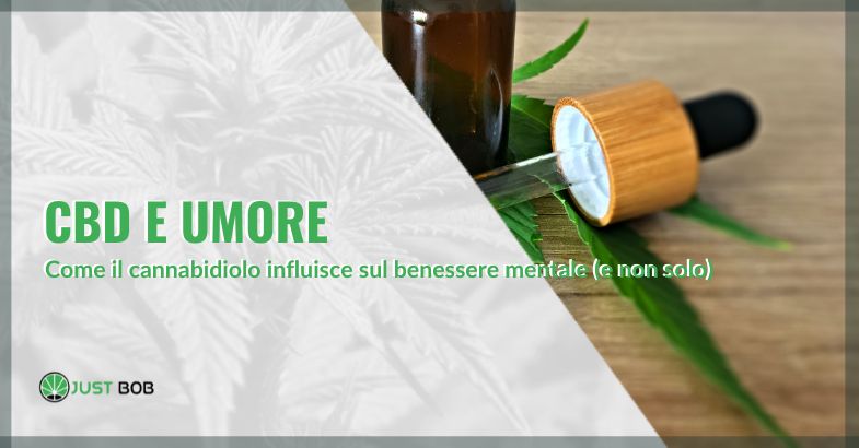 CBD e benessere mentale | Justbob