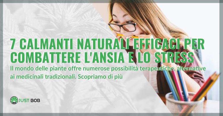 7 calmanti naturali contro l'ansia e lo stress | Justbob