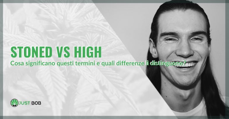 High vs Stoned: le differenze | Justbob