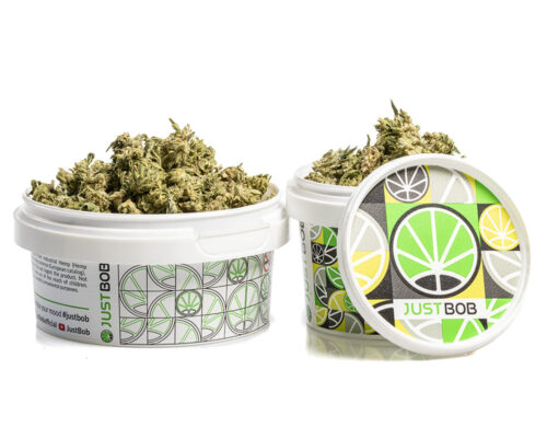 Fiori di Cannabis Light Alpine CBG Small Budsin contenitore bianco