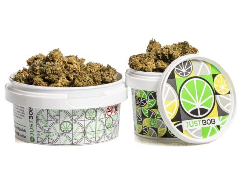 Fiori di Cannabis Light Blueberry Small Buds in contenitore bianco