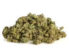 Erba-Legale-Alpine-CBG Erba Legale Alpine CBG Small Buds