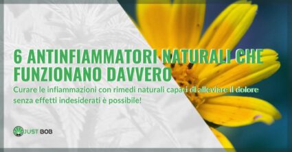 Antinfiammatori naturali | Justbob