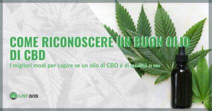 come riconoscere un buon olio di CBD | Justbob