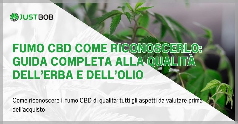Fumo CBD come riconoscerlo: guida completa