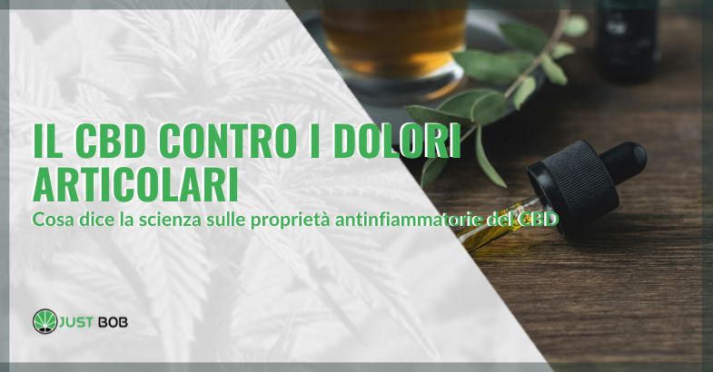 Il CBD contro i dolori articolari | Justbob