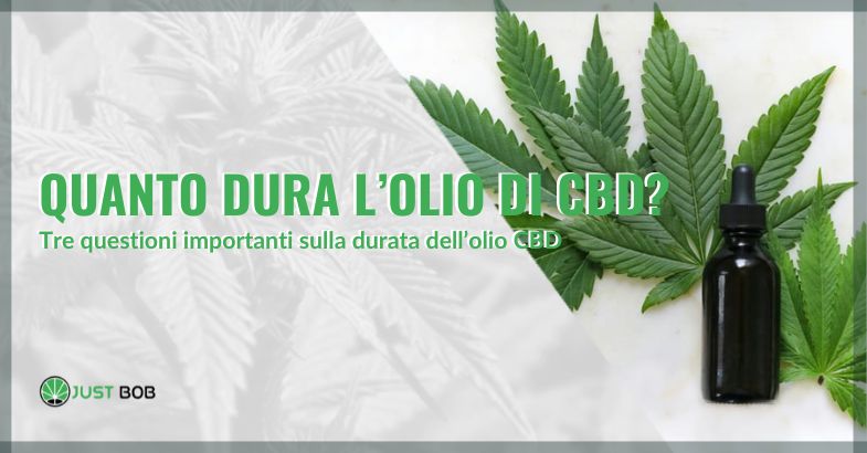 Quanto dura l'olio di CBD? | Justbob