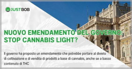 NUOVO EMENDAMENTO DEL GOVERNO: STOP CANNABIS LIGHT?