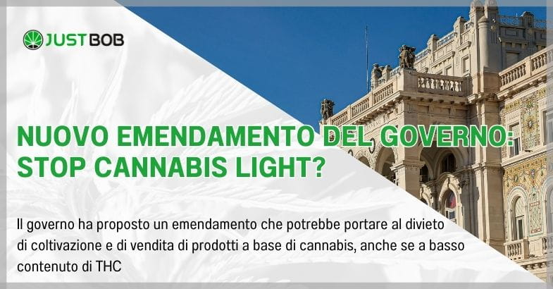NUOVO EMENDAMENTO DEL GOVERNO: STOP CANNABIS LIGHT?