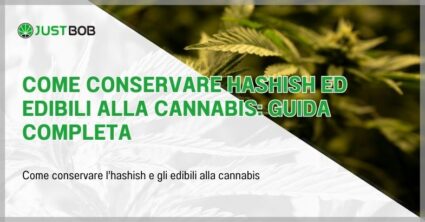 Come conservare hashish ed edibili alla cannabis: guida completa