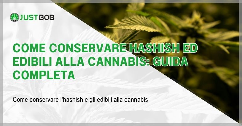 Come conservare hashish ed edibili alla cannabis: guida completa