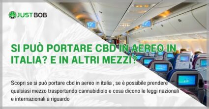 Si può portare CBD in aereo in italia? E in altri mezzi?