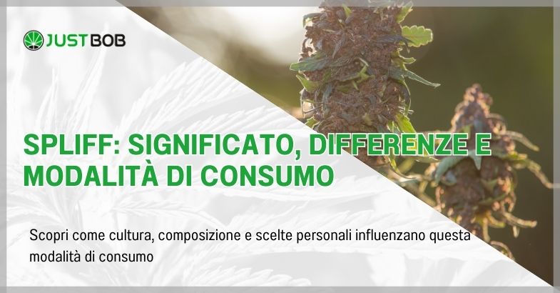Spliff: significato, differenze e modalità di consumo