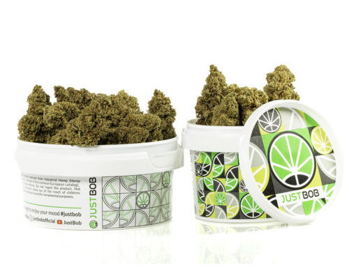 barattolo con fiori di cannabis light double cookies