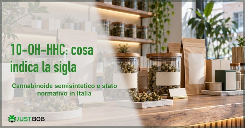 banner-10-oh-hhc-negozio-canapa Banner Justbob su sfondo di un banco vendita con vasi di vetro di fiori di canapa essiccati e sacchetti in carta kraft