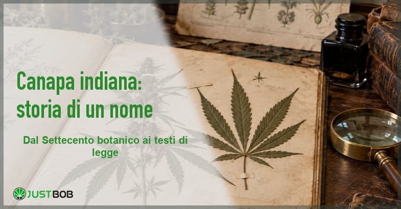 featured-canapa-indiana-erbario-storico Banner con album d'erbario aperto su una foglia di canapa pressata, pannello chiaro con titolo verde e logo Justbob