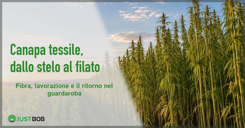 featured-canapa-tessuto-campo-fibra Banner con titolo verde e logo Justbob; nella foto a destra una coltivazione fitta di canapa alta contro il cielo chiaro