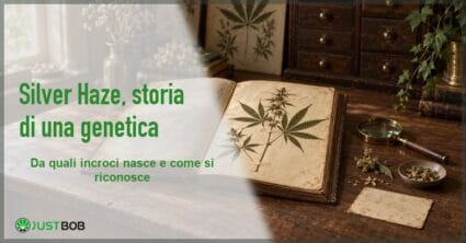Banner dell'articolo con titolo verde e logo Justbob; a destra un album da erbario aperto con foglia di canapa pressata