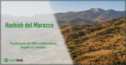 Banner dell'articolo sull'hashish del Marocco con il titolo su un paesaggio di montagne terrazzate del Rif