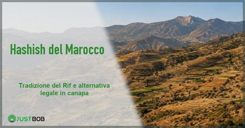 Hashish del Marocco: storia e situazione legale Banner dell'articolo sull'hashish del Marocco con il titolo su un paesaggio di montagne terrazzate del Rif