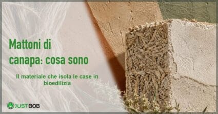 Banner Justbob sull'articolo dedicato ai mattoni di canapa, con un blocco di canapa e calce e un fascio di fibra grezza su parete color terracotta