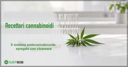 Banco da laboratorio luminoso con un rametto di canapa verde e alcune provette di vetro vuote accanto a un taccuino