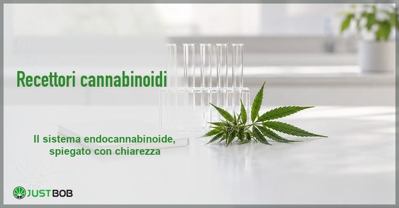 Recettori cannabinoidi e sistema endocannabinoide Banco da laboratorio luminoso con un rametto di canapa verde e alcune provette di vetro vuote accanto a un taccuino