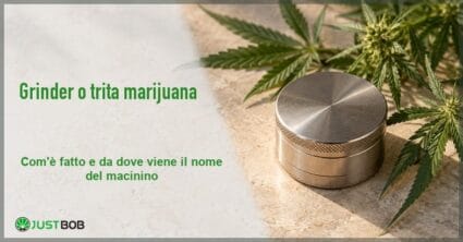 Banner dell'articolo con titolo verde e logo Justbob a sinistra e, a destra, un grinder in metallo chiuso accanto a rametti di canapa su pietra chiara