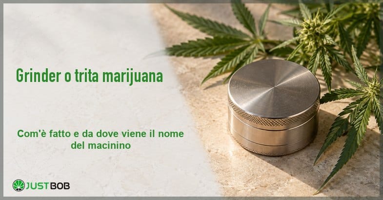 Banner dell'articolo con titolo verde e logo Justbob a sinistra e, a destra, un grinder in metallo chiuso accanto a rametti di canapa su pietra chiara