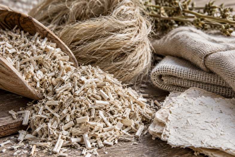 canapulo-fibra-canapa-materia-prima Fibre e trucioli di canapulo di canapa dal colore chiaro, con struttura porosa e filamentosa, materia prima per i blocchi da costruzione